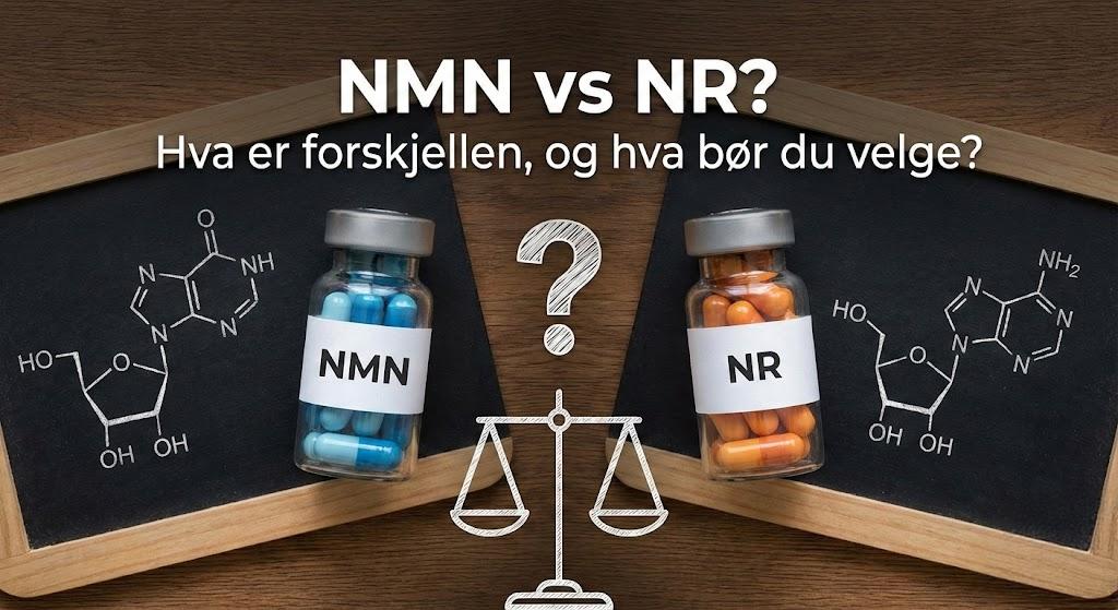 NMN vs NR? Hva er forskjellen, og hva bør du velge?